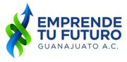 emprendeguanajuato.org